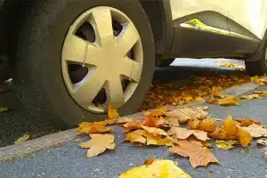 4 Things to Check in Cars, Trucks, and RVs This Fall | Mast Service Center Inc. in Etna Green, IN. Closeup image of a car wheel on the road with yellow, dry, fallen maple leaves on asphalt road.